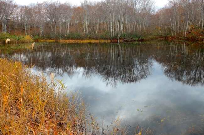 f:id:cippillo:20141118142720j:plain