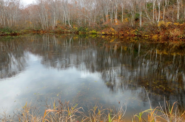 f:id:cippillo:20141118142721j:plain