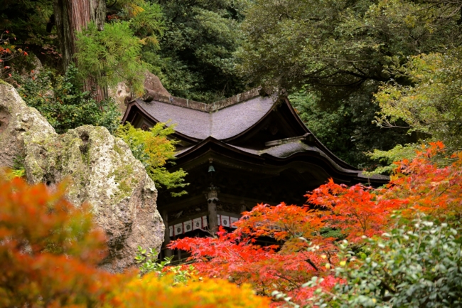 f:id:cippillo:20141121231352j:plain