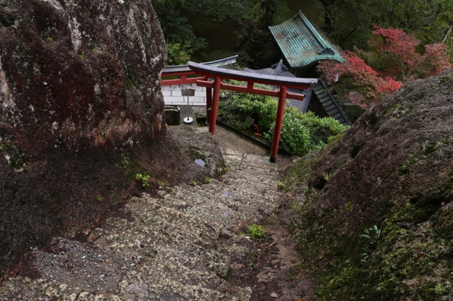 f:id:cippillo:20141121231357j:plain