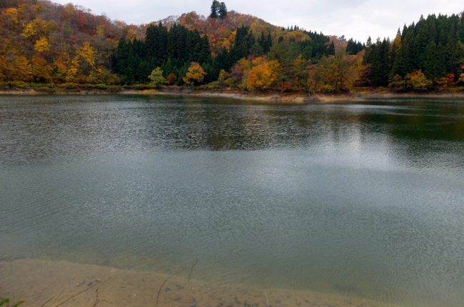 f:id:cippillo:20141122125737j:plain
