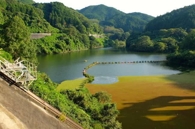 f:id:cippillo:20141201095512j:plain