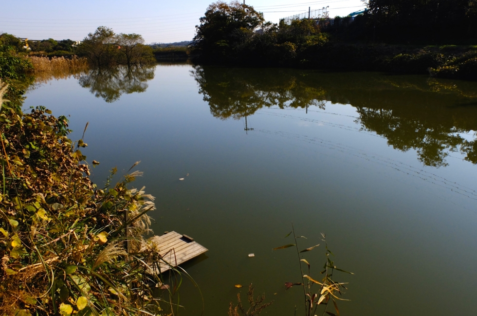 f:id:cippillo:20141210100903j:plain f:id:cippillo:20141210100903j:plain