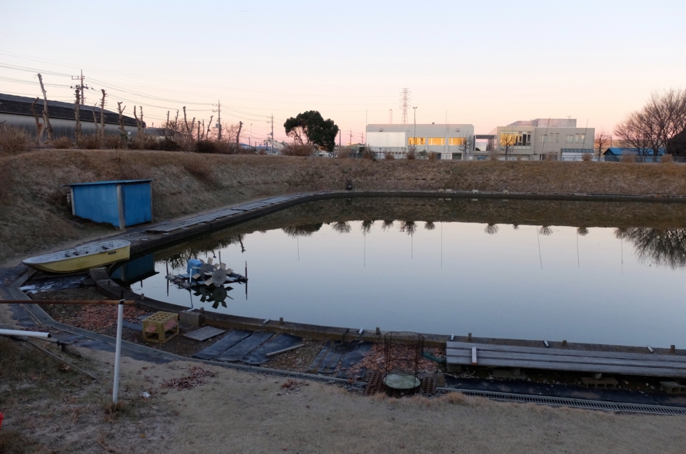 f:id:cippillo:20141220125140j:plain