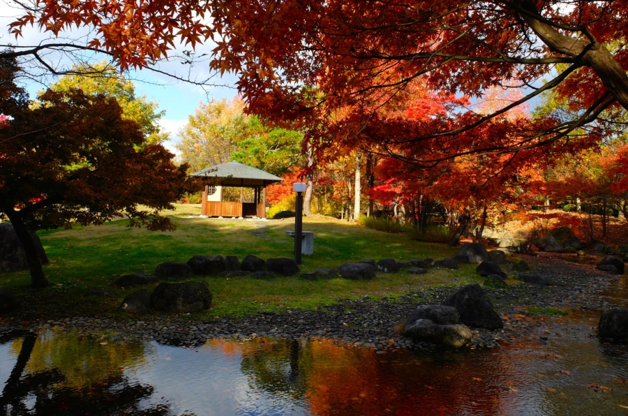 f:id:cippillo:20150106100036j:plain