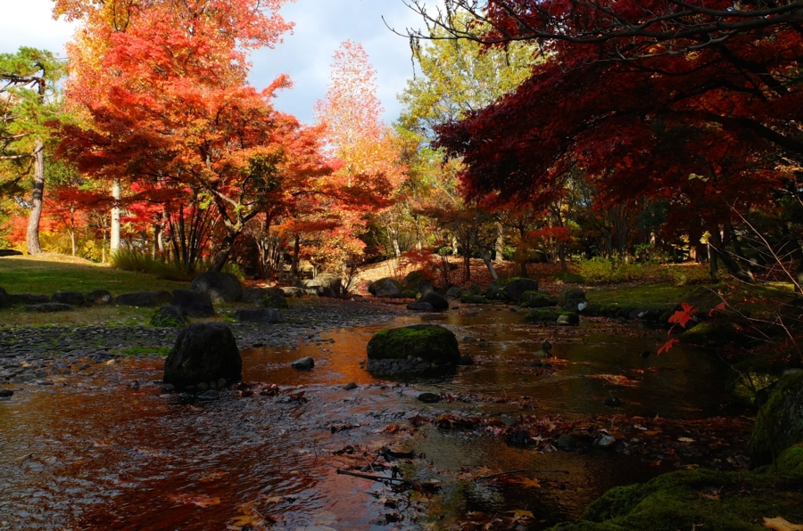 f:id:cippillo:20150106100037j:plain