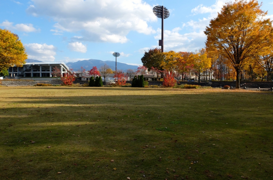 f:id:cippillo:20150106100038j:plain