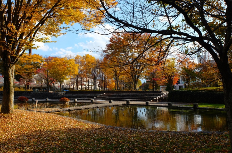 f:id:cippillo:20150106100039j:plain