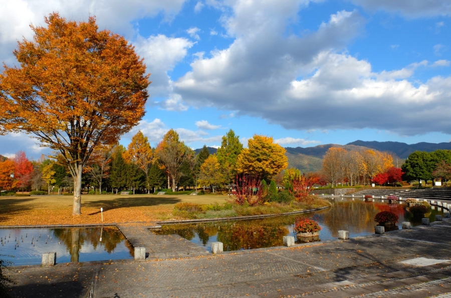 f:id:cippillo:20150106100040j:plain