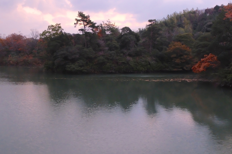 f:id:cippillo:20150107114710j:plain