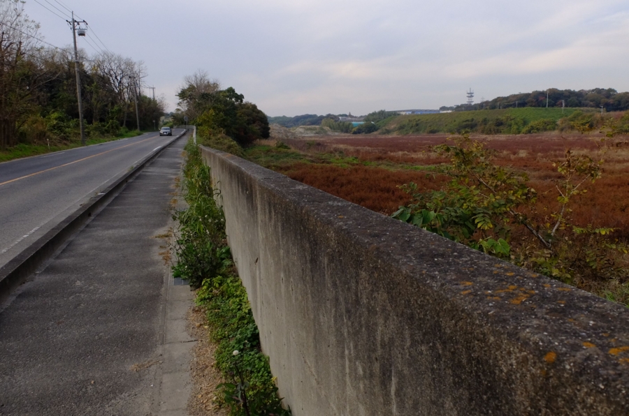f:id:cippillo:20150108115523j:plain