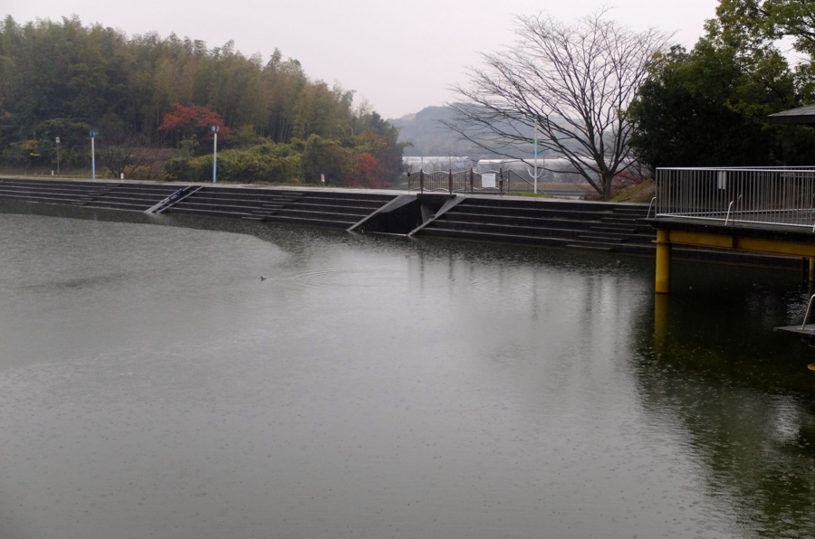 f:id:cippillo:20150417211432j:plain