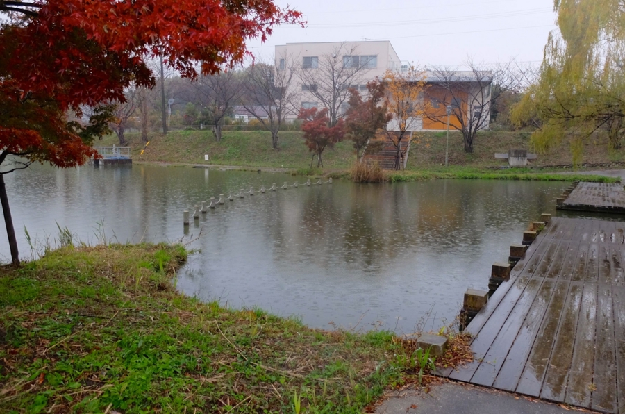 f:id:cippillo:20150417211434j:plain