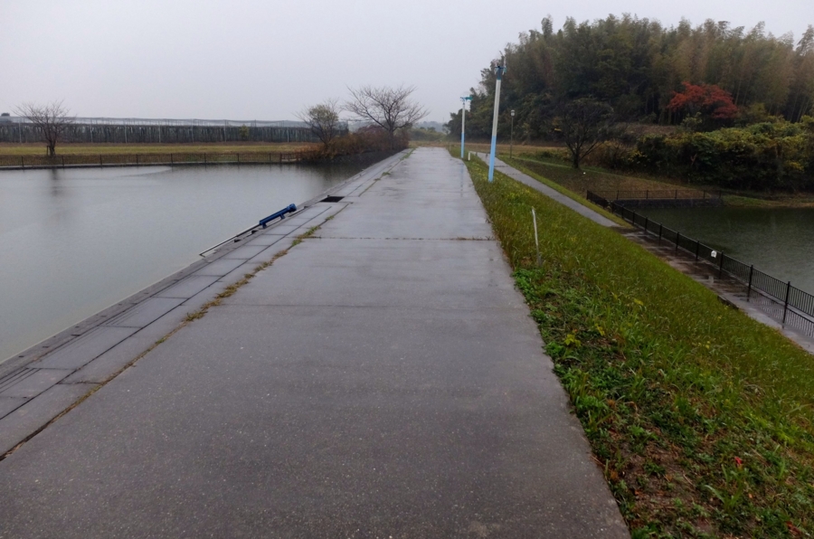 f:id:cippillo:20150417211436j:plain