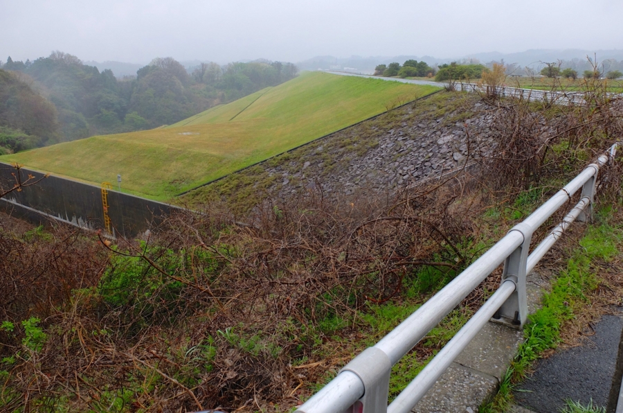 f:id:cippillo:20150512104500j:plain