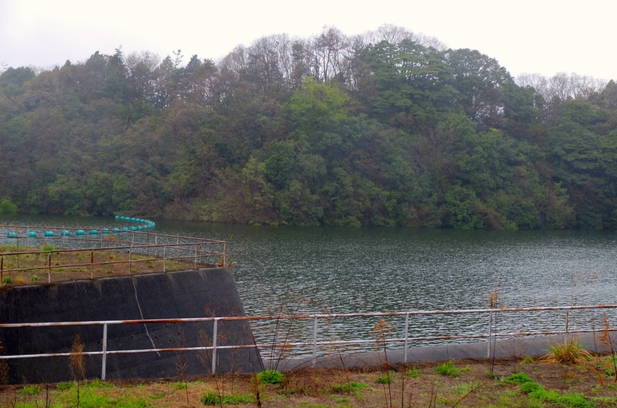 f:id:cippillo:20150512104501j:plain