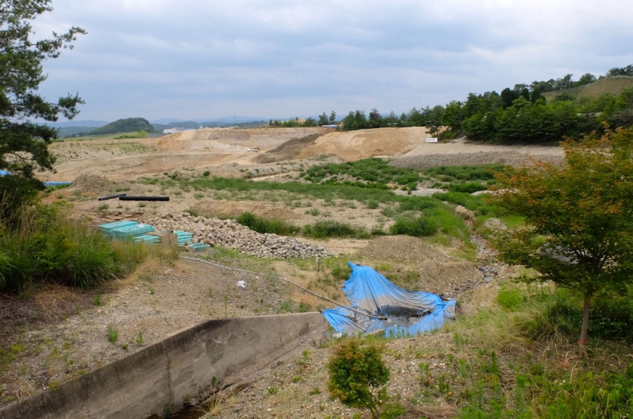 f:id:cippillo:20150704235000j:plain f:id:cippillo:20150704235000j:plain