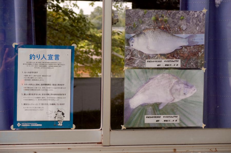 日野川ダム 滋賀県日野 水辺遍路