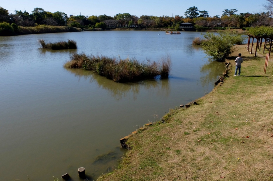 f:id:cippillo:20151027090741j:plain