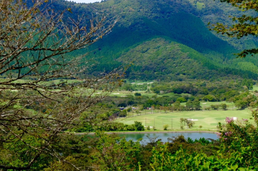イタリ池 神奈川県箱根 水辺遍路 イタリ池 神奈川県箱根 水辺遍路