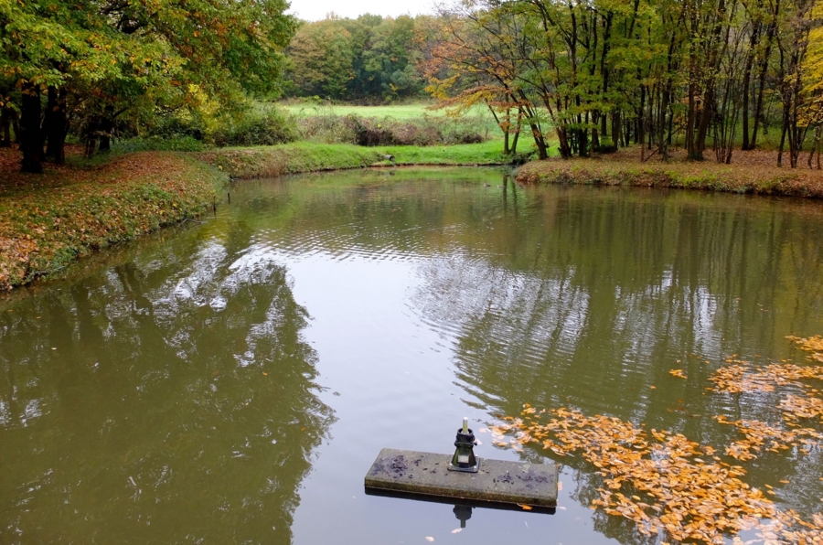 皿沼(埼玉県鳩山) 水辺遍路