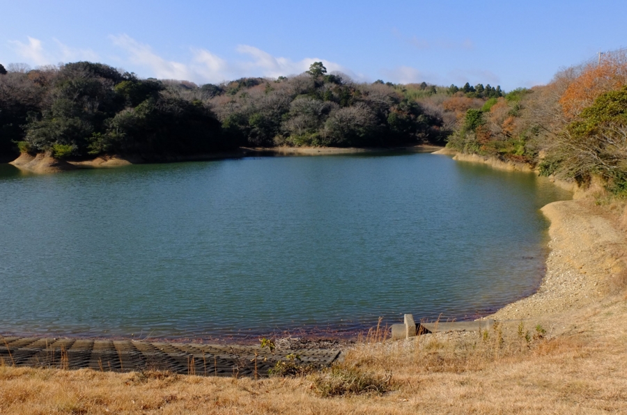 f:id:cippillo:20160106134106j:plain