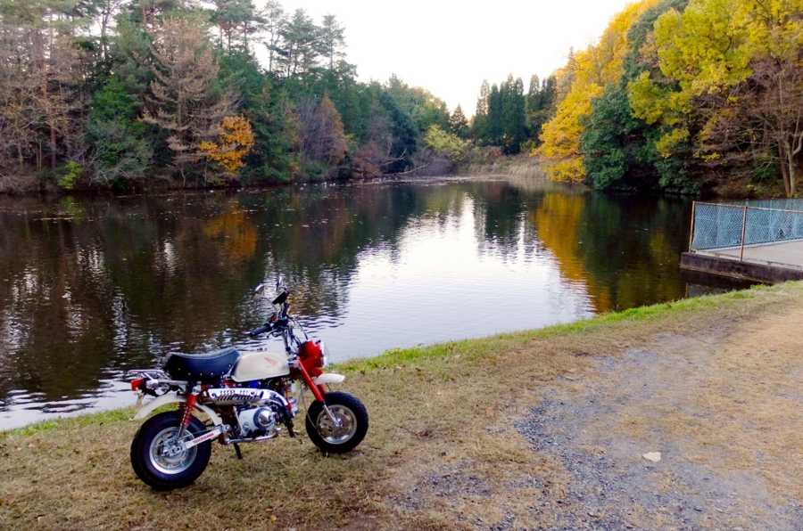 f:id:cippillo:20160106134130j:plain