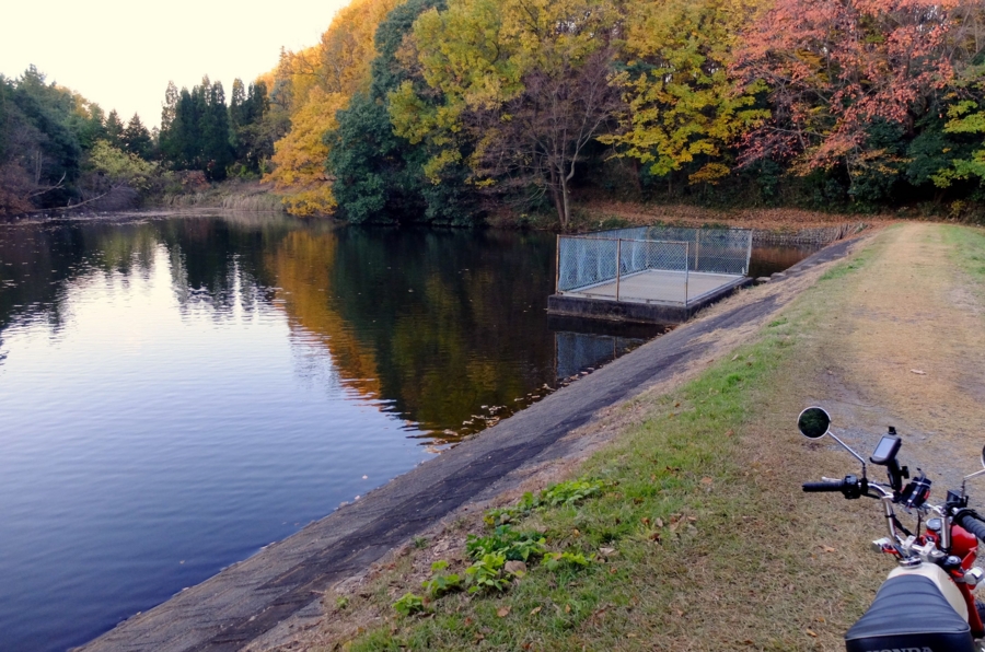 f:id:cippillo:20160106134131j:plain