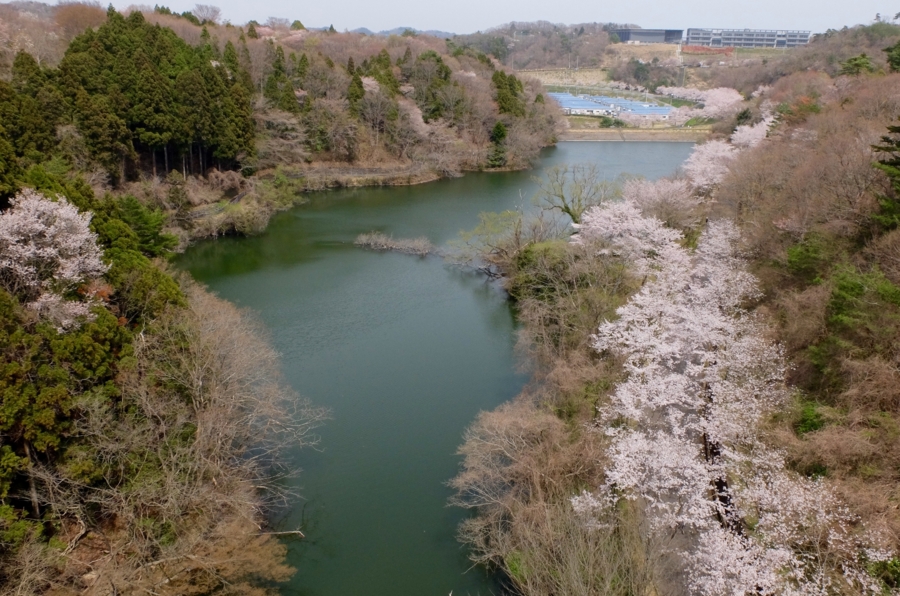 f:id:cippillo:20160412152017j:plain