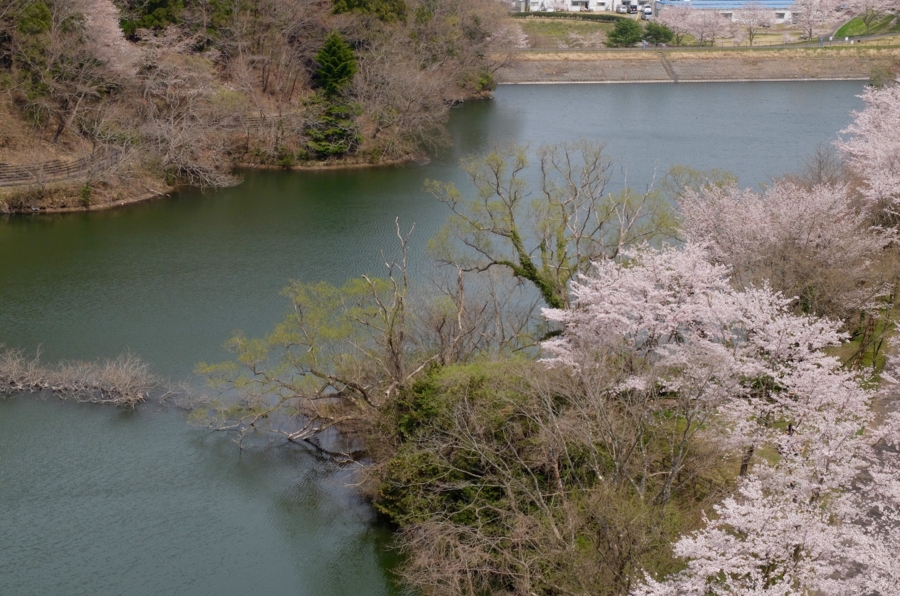 f:id:cippillo:20160412152018j:plain