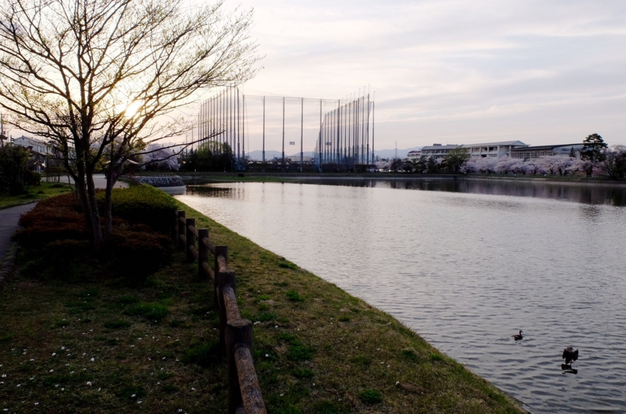 f:id:cippillo:20160416191721j:plain