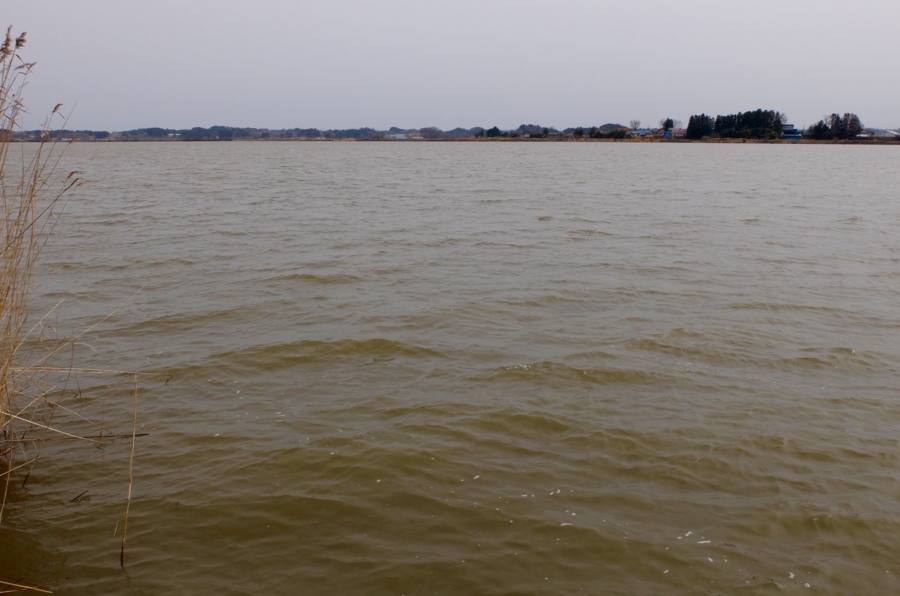 f:id:cippillo:20160519100034j:plain