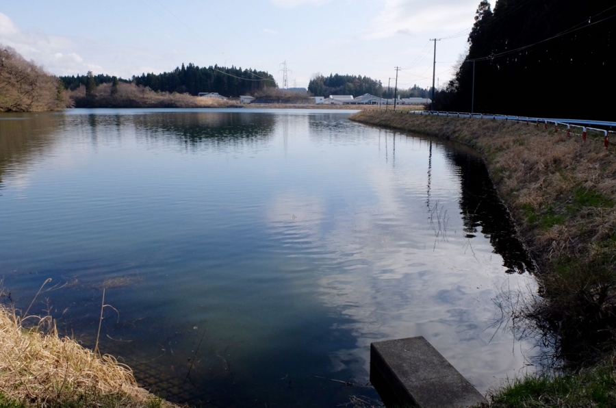 f:id:cippillo:20160520080121j:plain