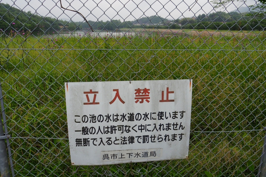 f:id:cippillo:20160605114118j:plain