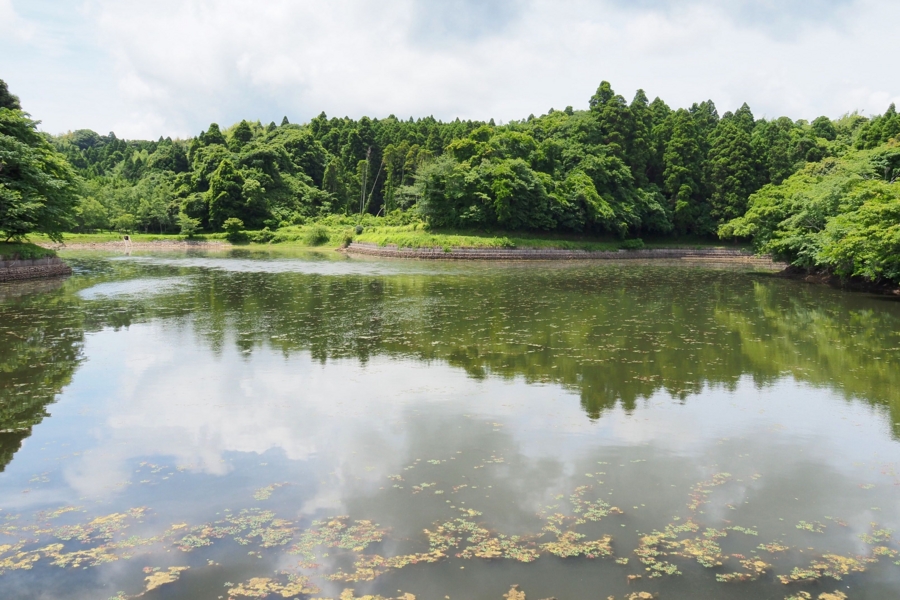 水道秋聖　「千野の池」 2025年 ニセコ名水甘露水 - 出発前に知っておくべきことすべて