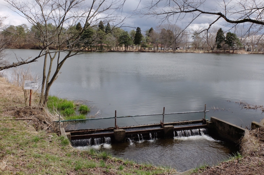 f:id:cippillo:20160622123152j:plain