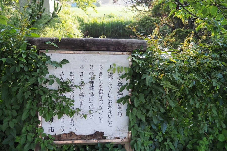 f:id:cippillo:20160625131407j:plain