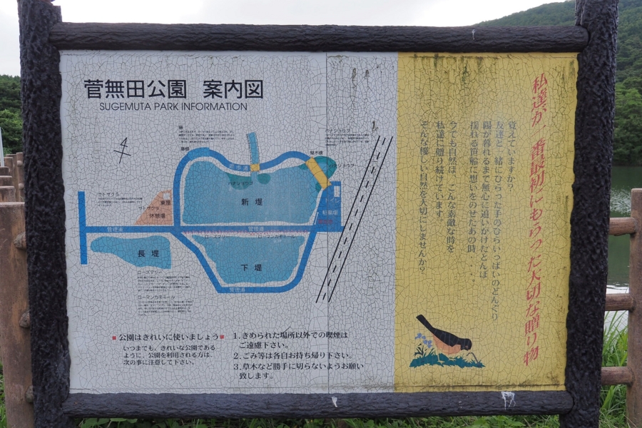 千畳敷の長堤 山口県長門 水辺遍路