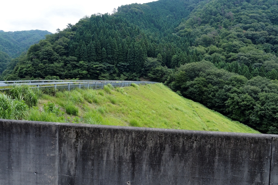 f:id:cippillo:20160729093126j:plain