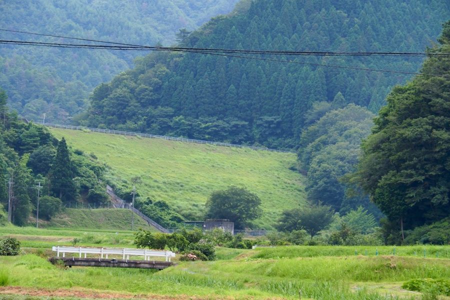 f:id:cippillo:20160729093129j:plain