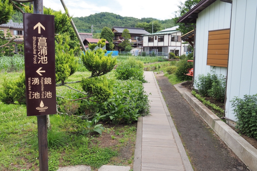 f:id:cippillo:20160809145935j:plain