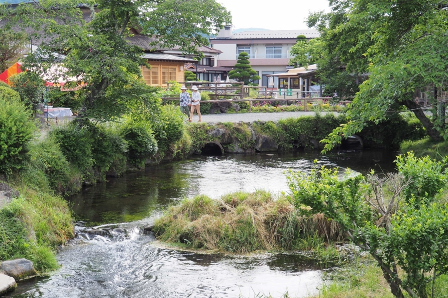濁池(山梨県忍野) 水辺遍路 濁池(山梨県忍野) 水辺遍路