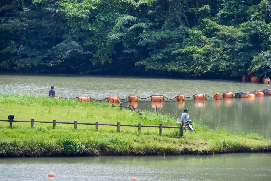 矢筈ダム 佐賀県武雄 水辺遍路