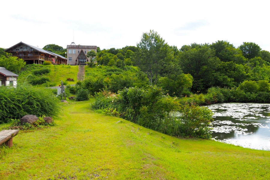 f:id:cippillo:20160906115026j:plain f:id:cippillo:20160906115026j:plain