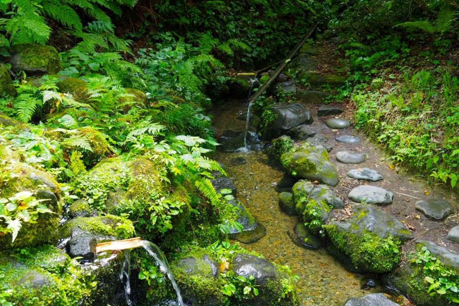 f:id:cippillo:20160906115030j:plain