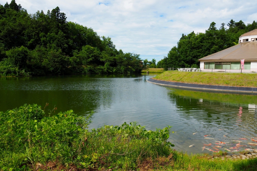 f:id:cippillo:20160906115032j:plain