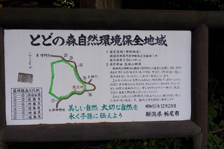 f:id:cippillo:20160906115035j:plain