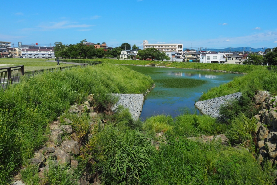 f:id:cippillo:20160919145100j:plain