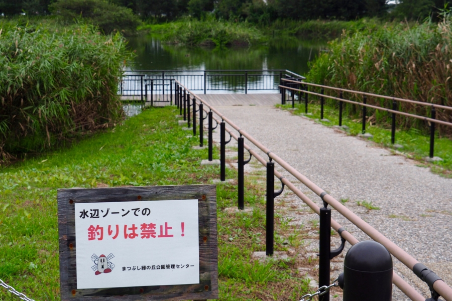 まつぶし緑の丘公園の調整池 埼玉県松伏 水辺遍路