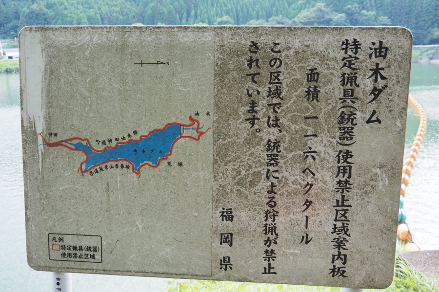 f:id:cippillo:20160928105454j:plain f:id:cippillo:20160928105454j:plain